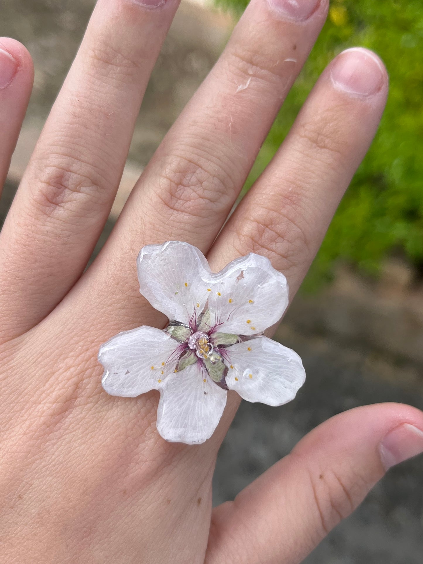 Flor de almendro: anillo