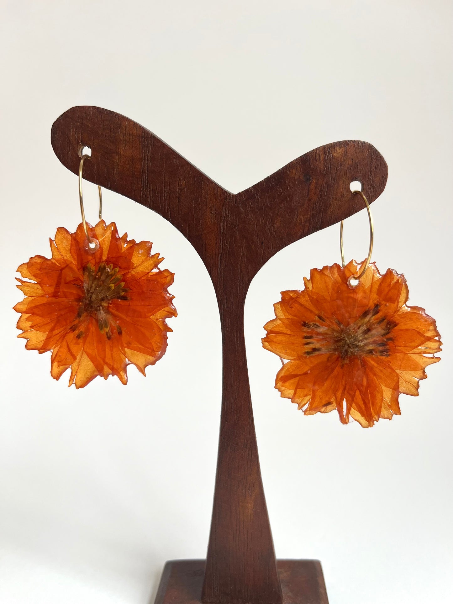 Cosmos naranjas, pendientes