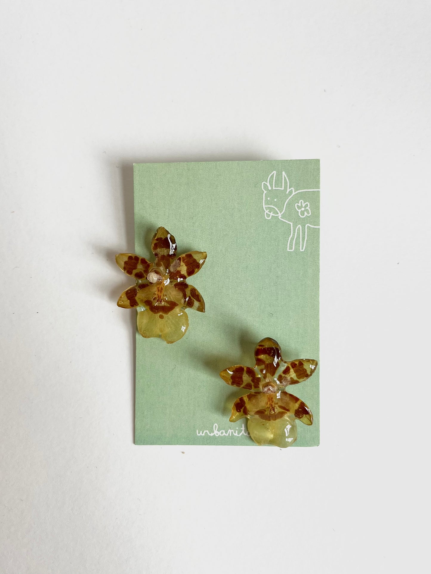 Orquídea, pendientes