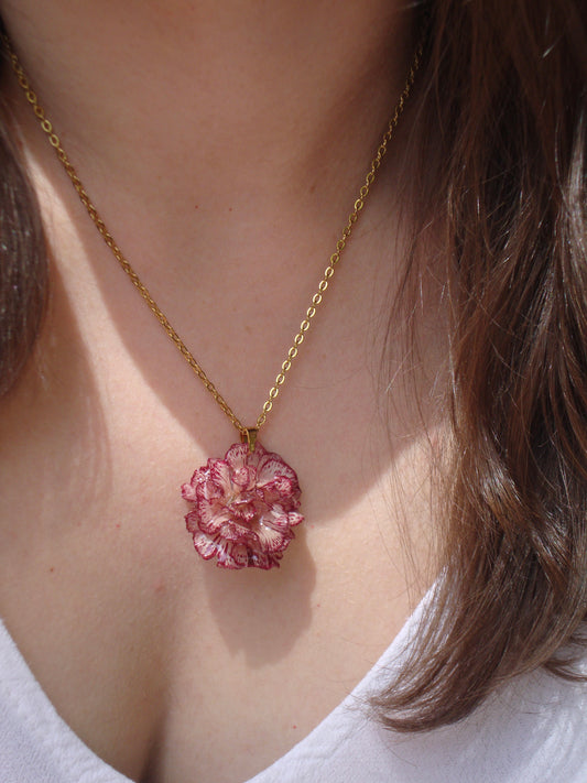 Clavel rojo y blanco: cadena