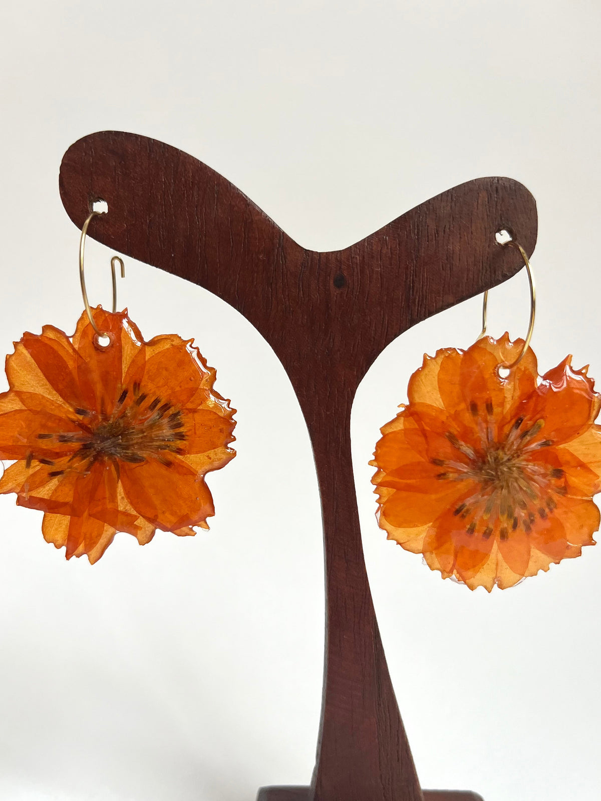 Cosmos naranja, pendientes