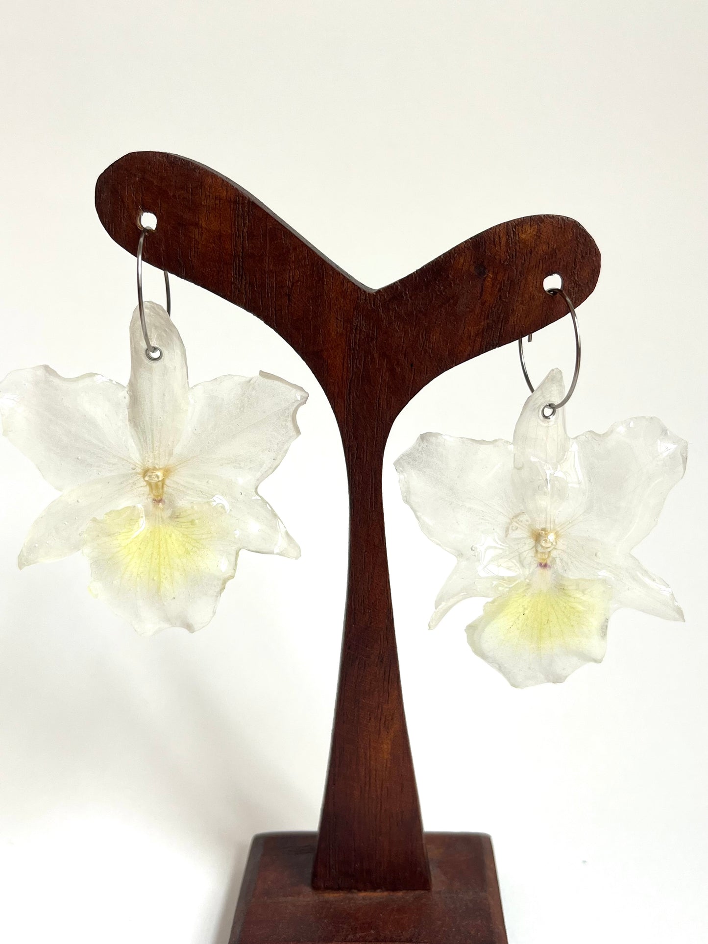 orquídea dendrobium, pendientes