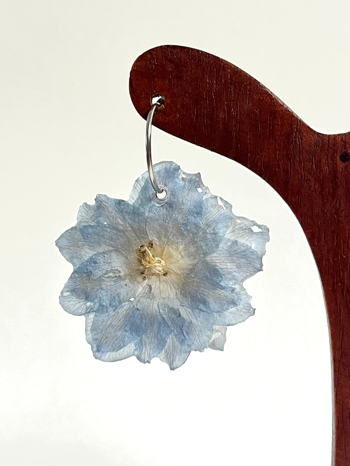 Delphinium azul, pendientes