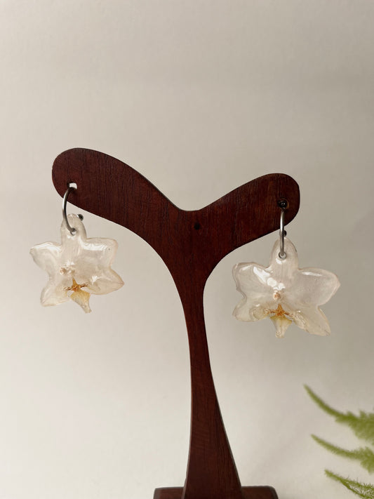Orquídea, pendientes