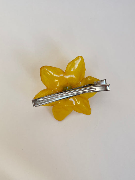 Narciso: pinza pelo