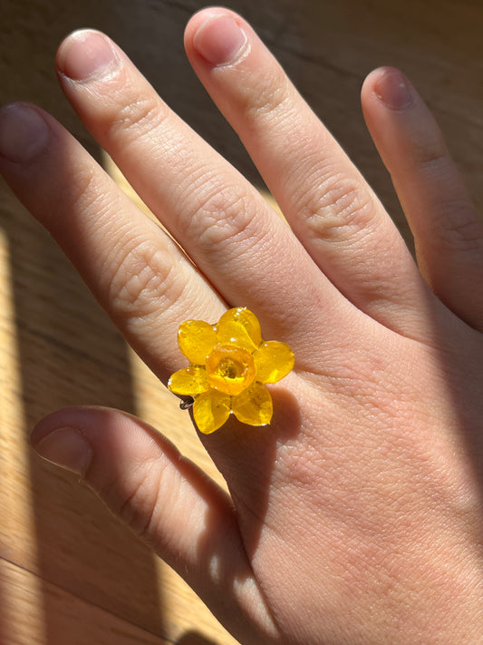 Narciso mini: anillo