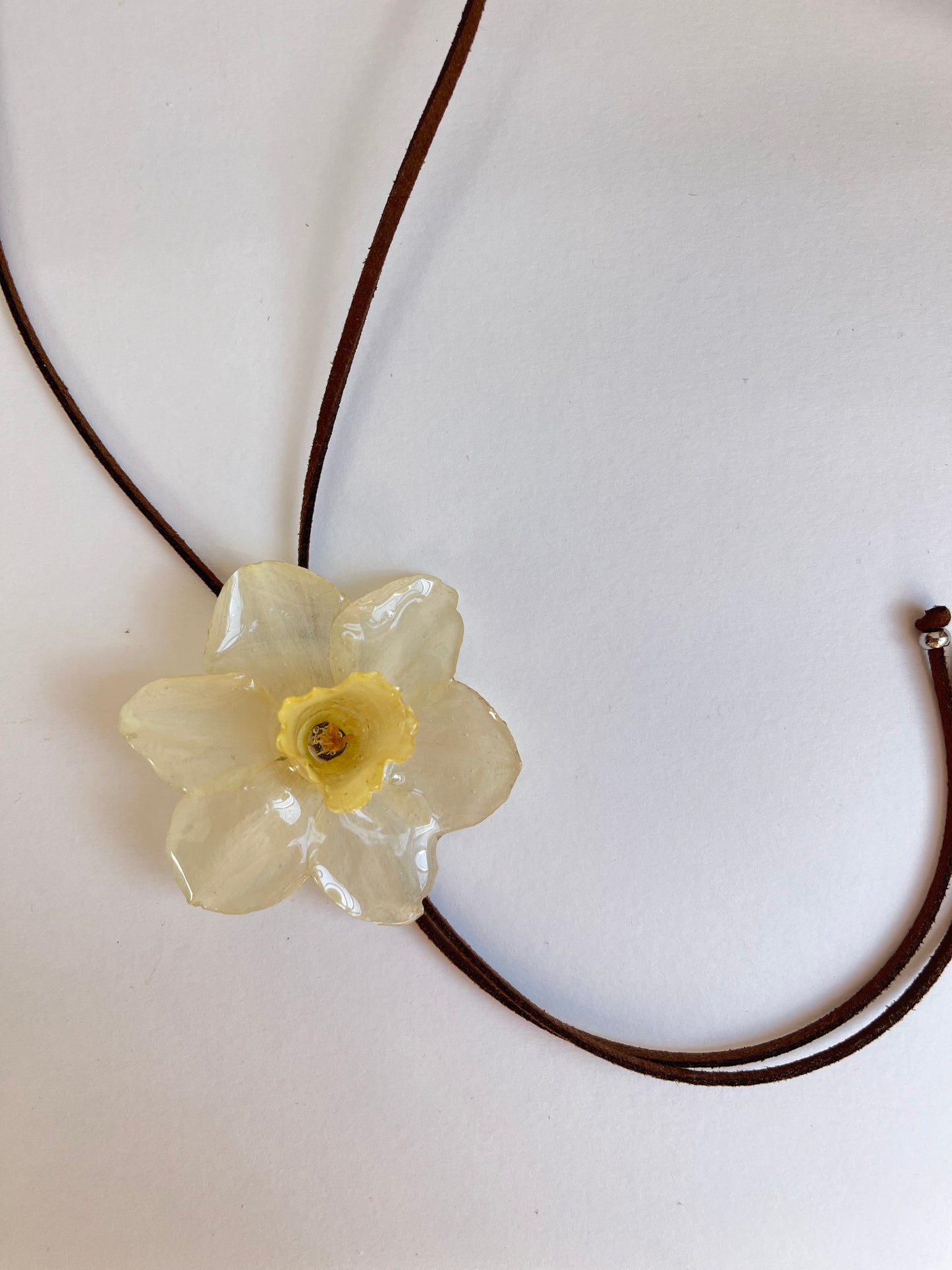 Narciso: Collar corbata