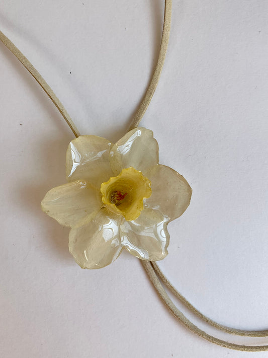 Narciso: Collar corbata