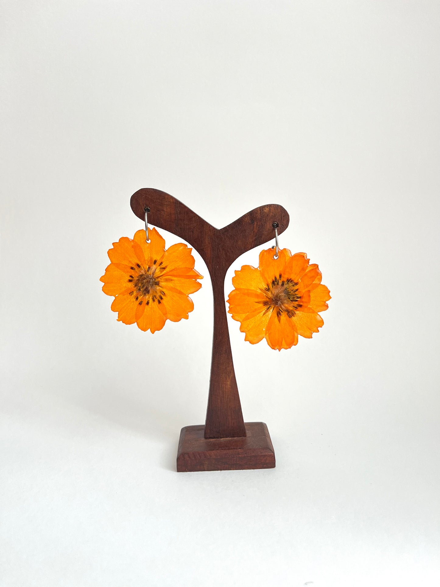 Cosmos naranja, pendientes