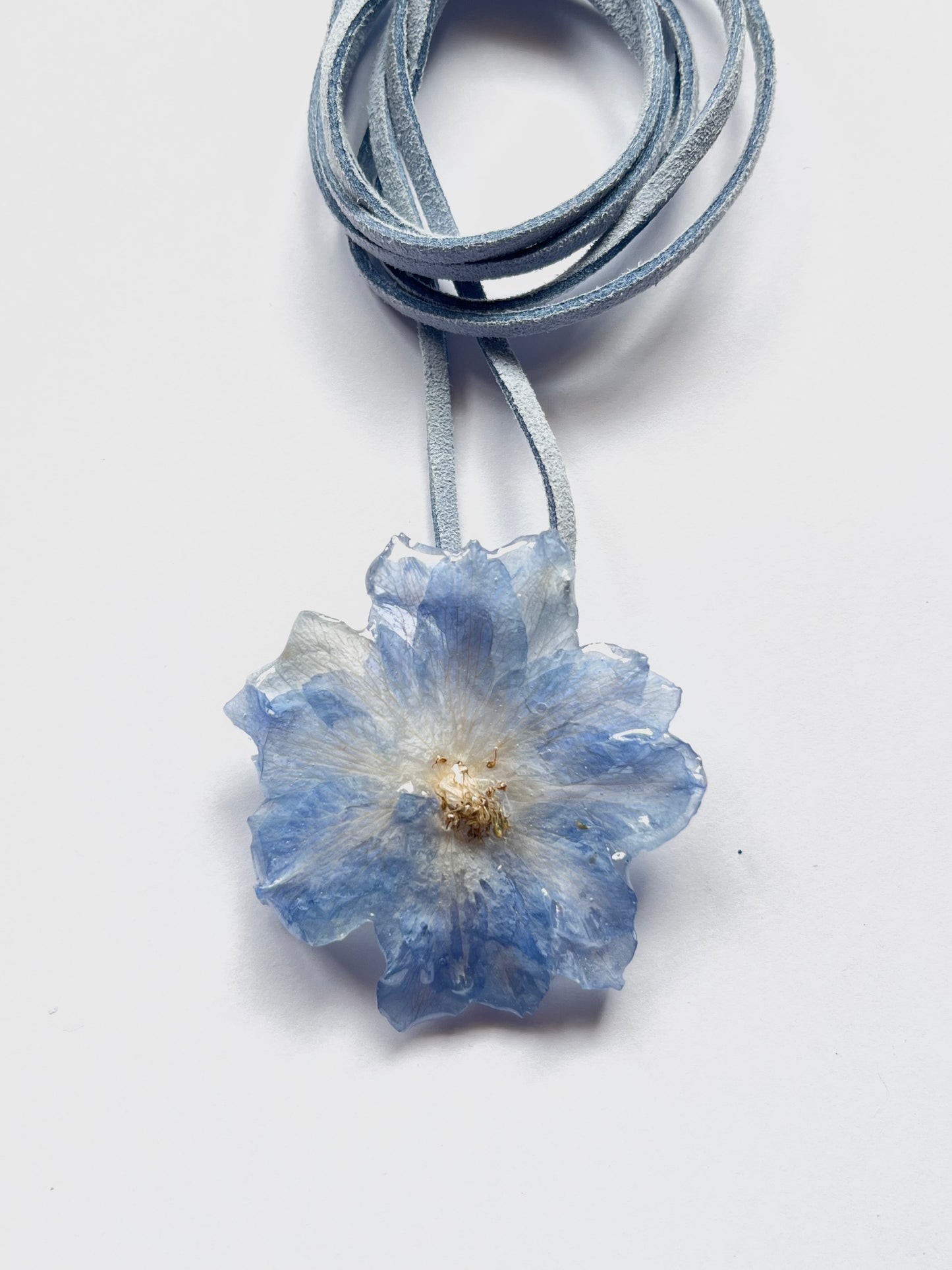 Delphinium, collar