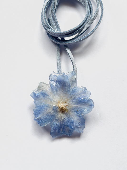 Delphinium, collar