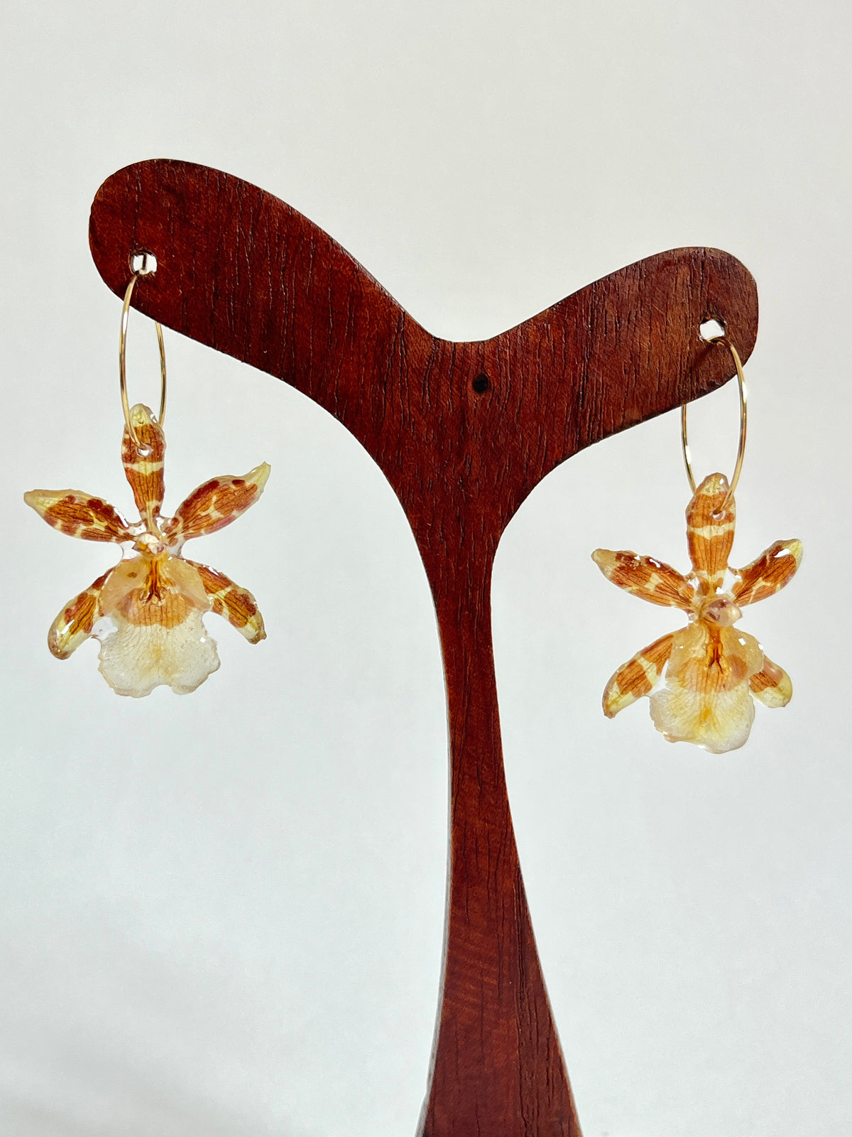 Orquídea exótica, pendientes aro