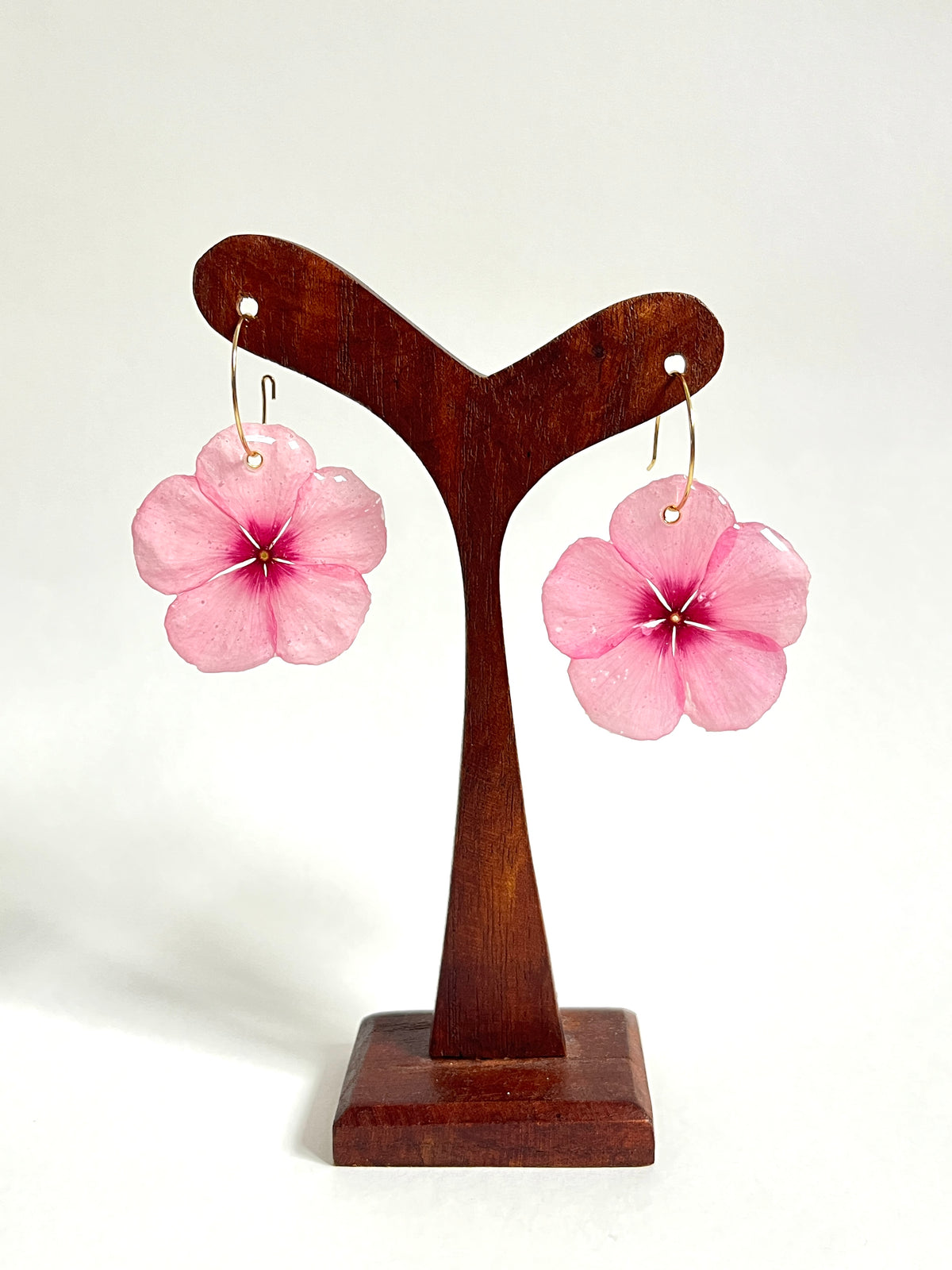 Vinca rosa, pendientes
