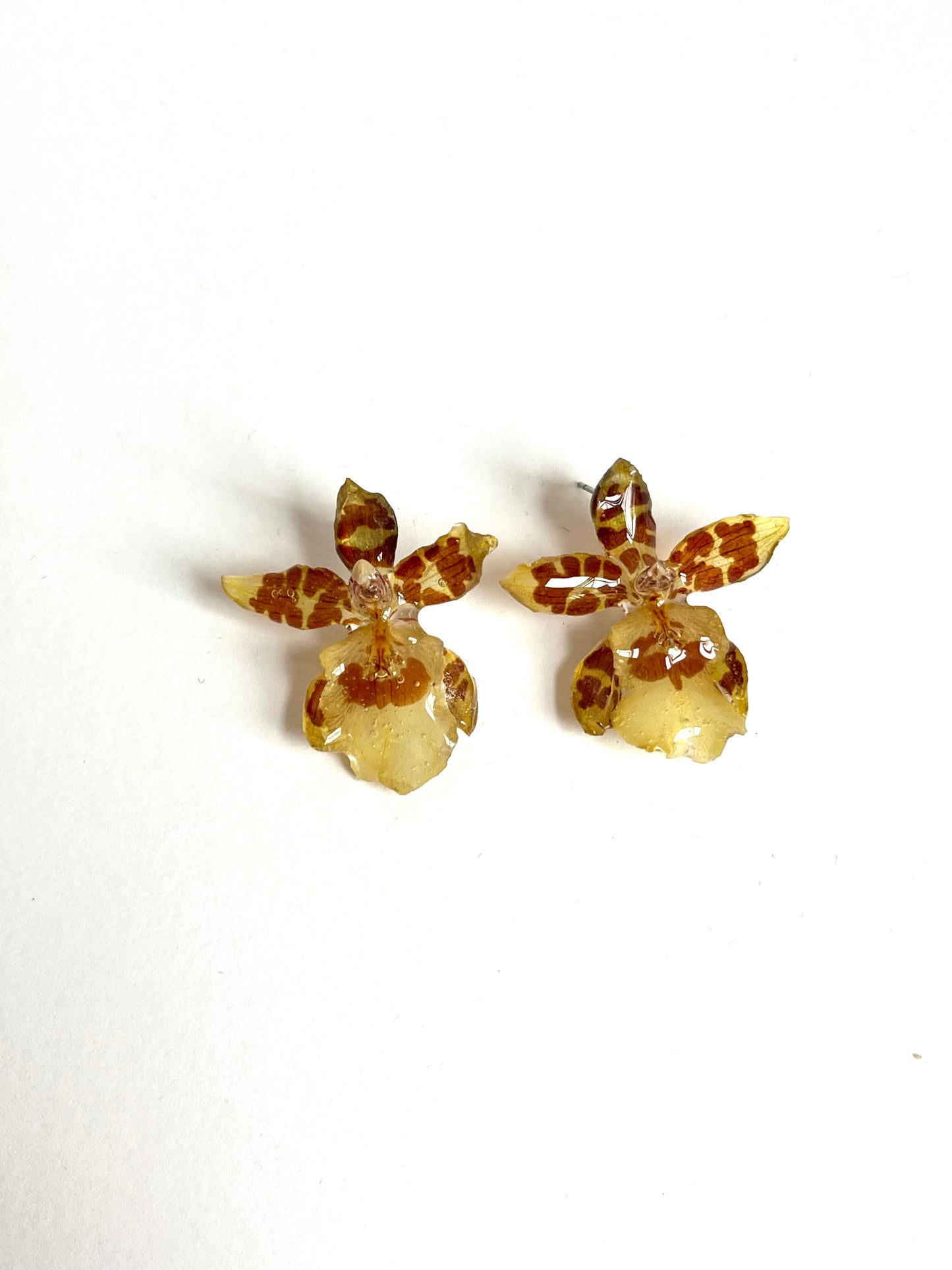 Orquídea, pendientes