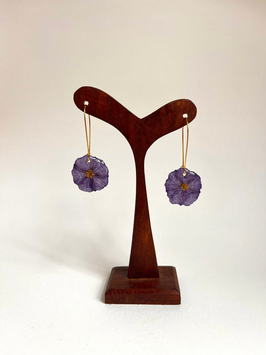 Solano azul, pendientes