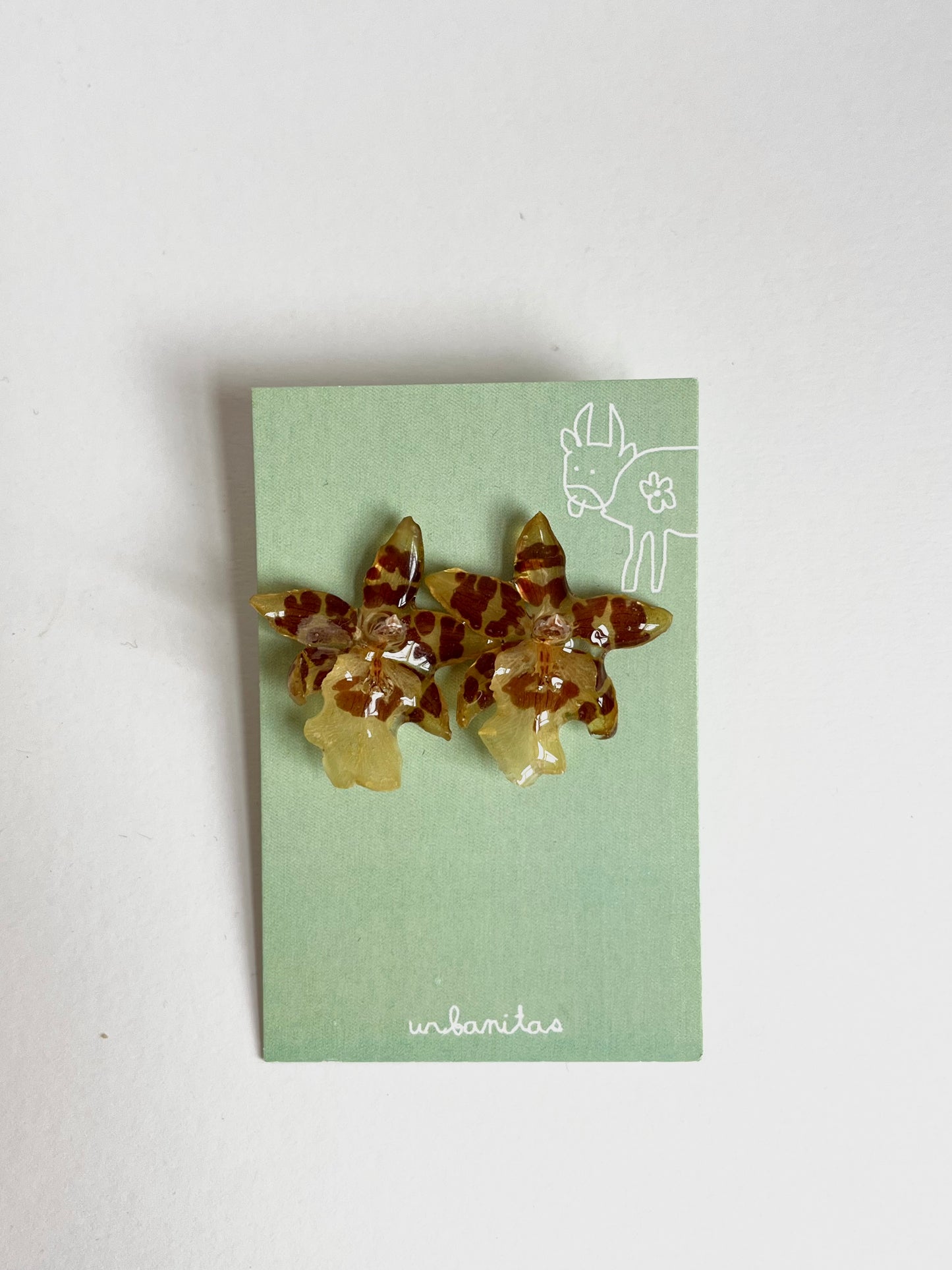 Orquídea, pendientes