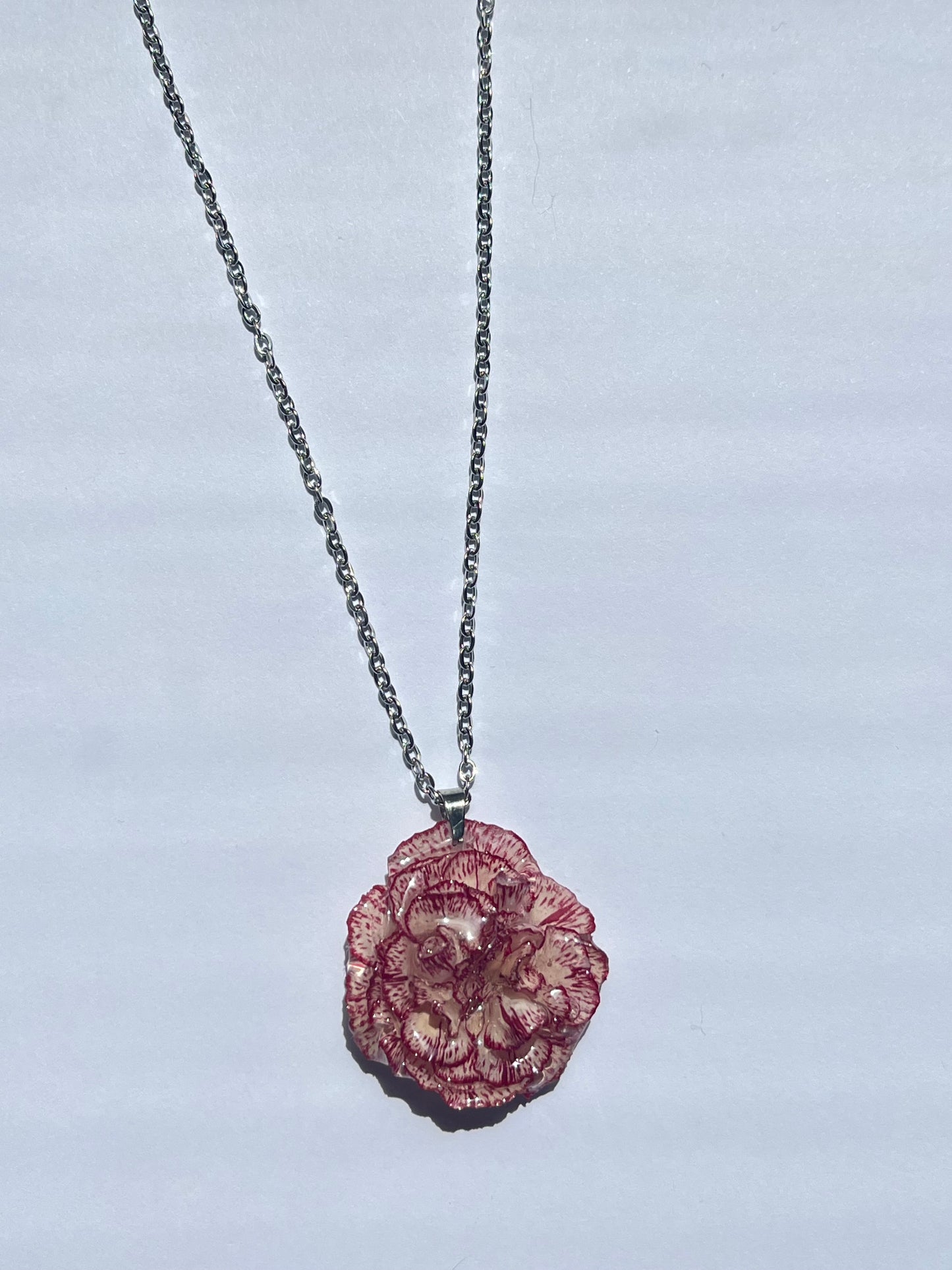 Clavel rojo y blanco: cadena