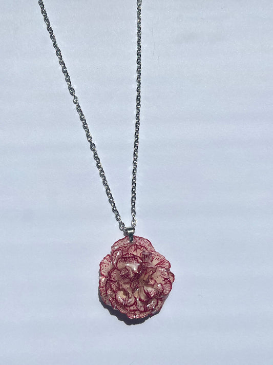 Clavel rojo y blanco: cadena