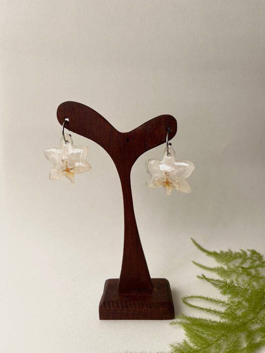 Orquídea, pendientes