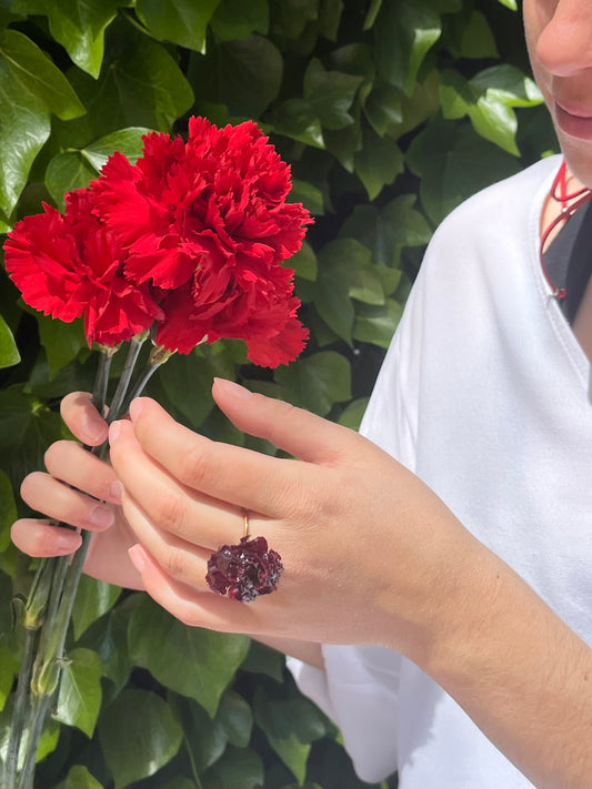 Clavel rojo: anillo
