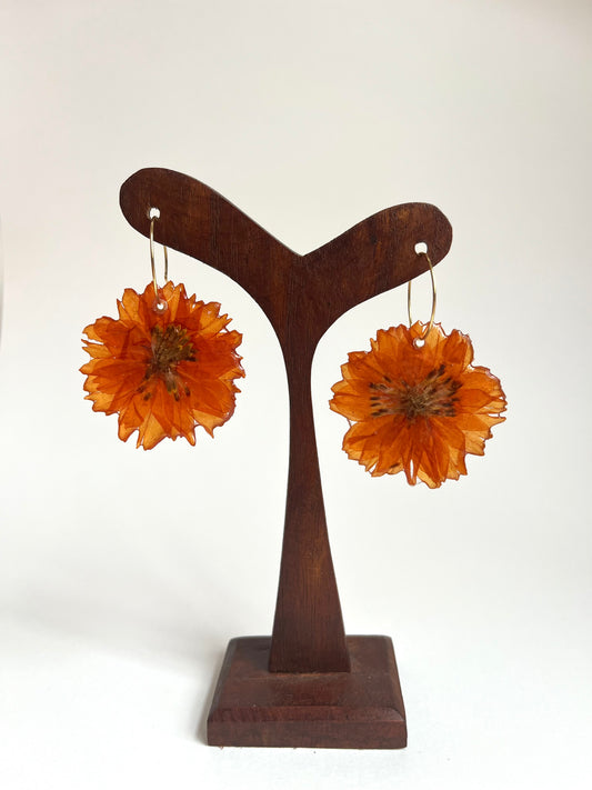 Cosmos naranjas, pendientes