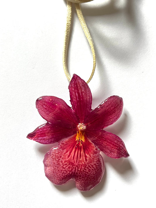 Orquídea rosa: collar