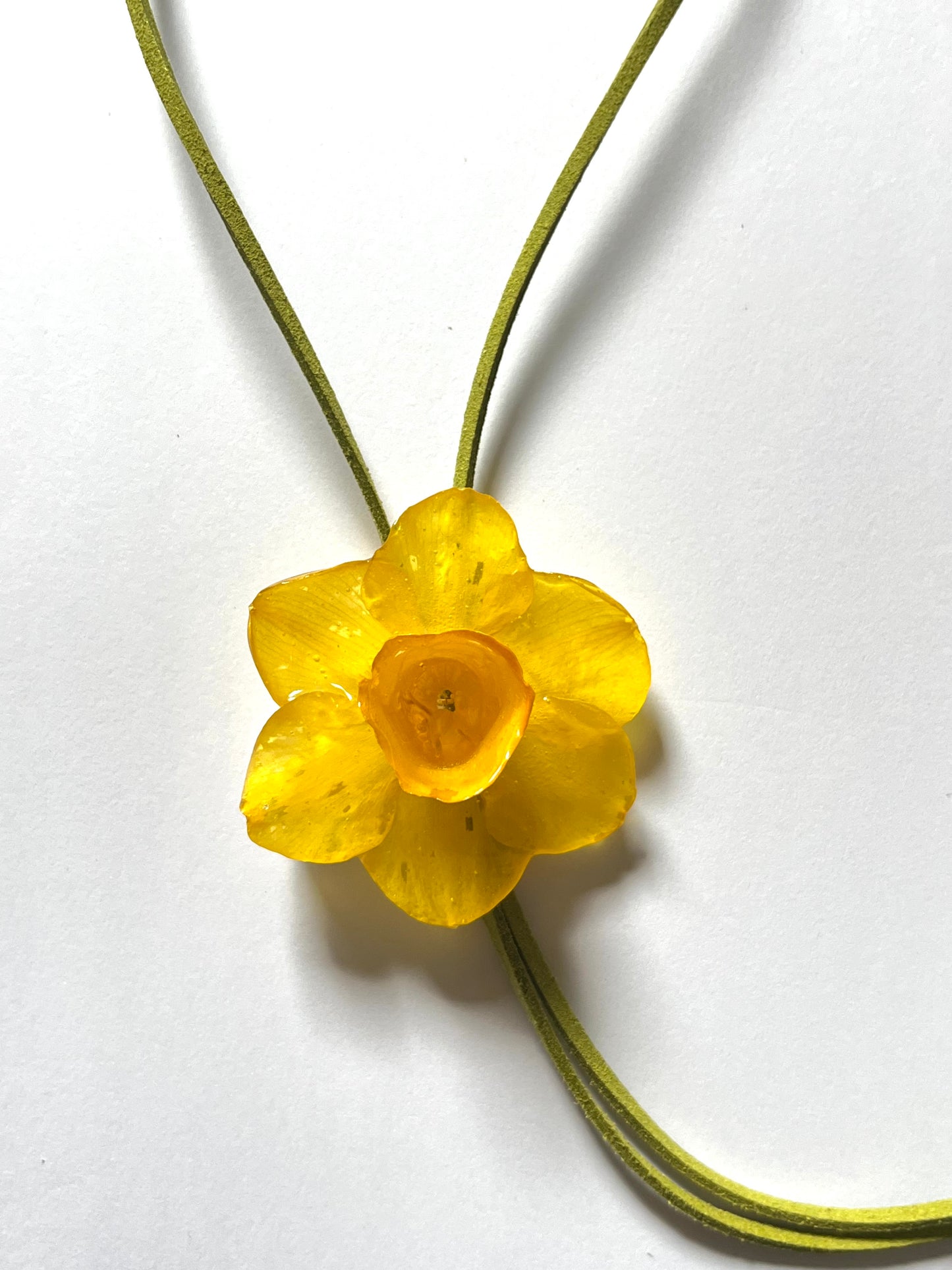 Narciso: collar corbata