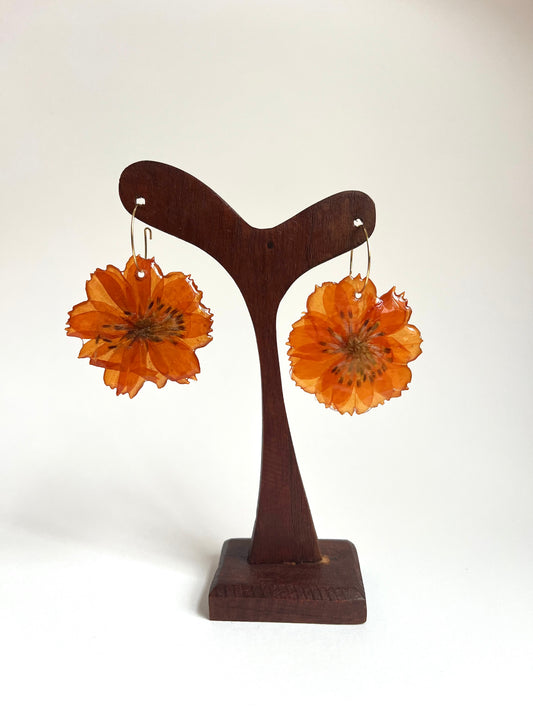 Cosmos naranja, pendientes