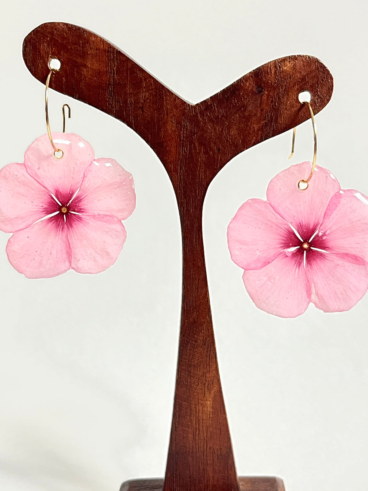 Vinca rosa, pendientes