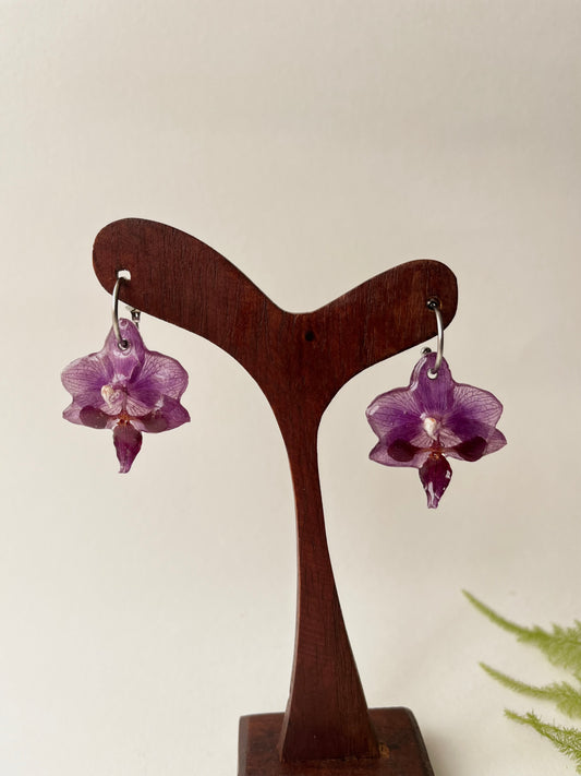 Orquídea morada, pendientes