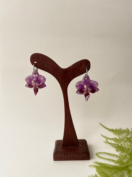 Orquídea morada, pendientes