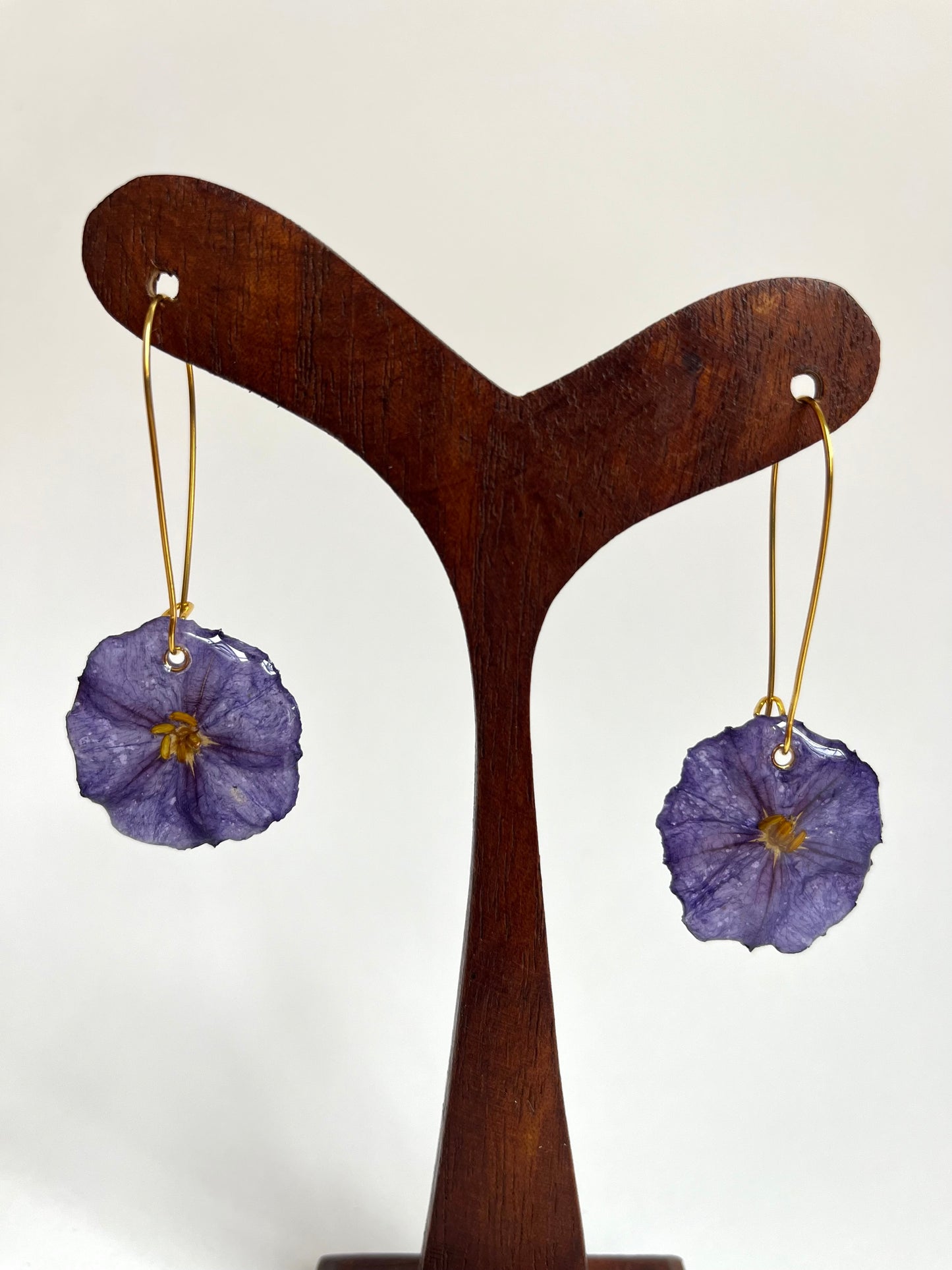 Solano azul, pendientes