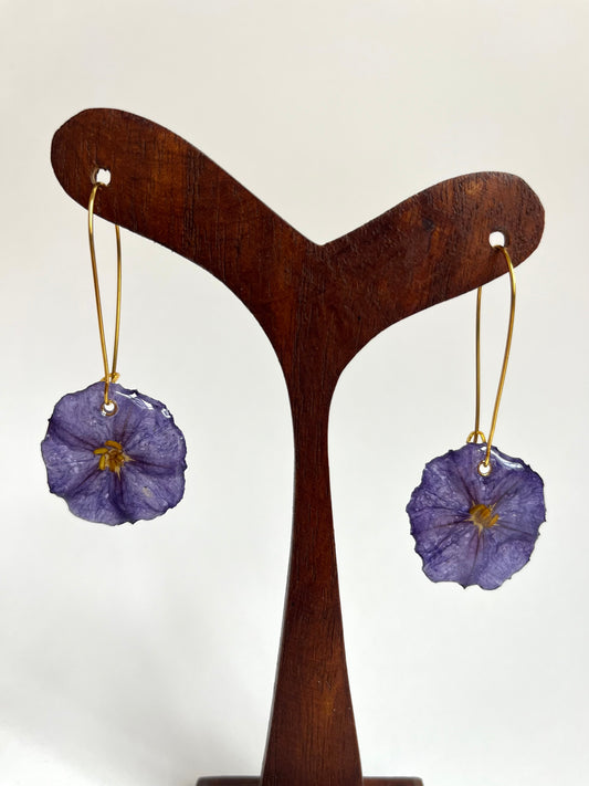 Solano azul, pendientes