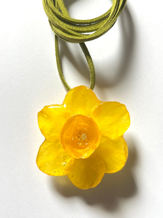 Narciso: collar