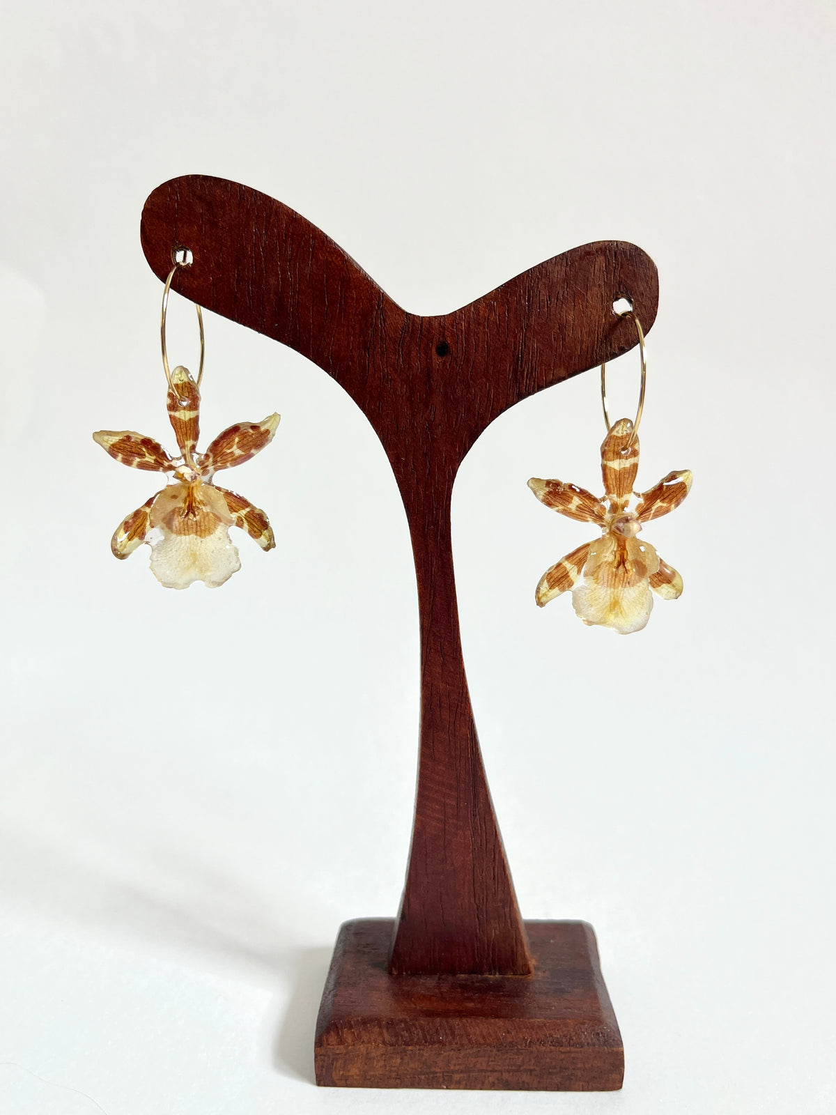 Orquídea exótica, pendientes aro