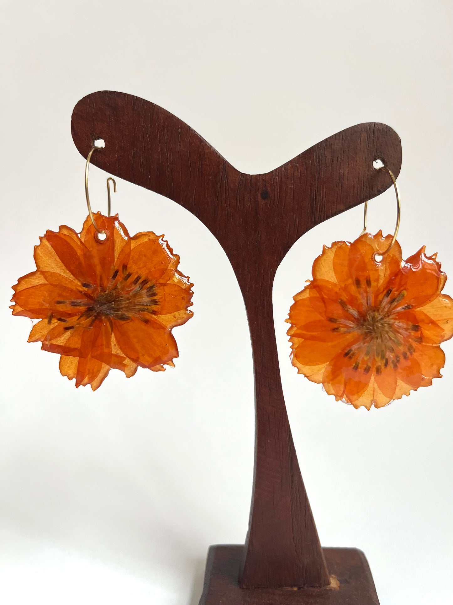 Cosmos naranja, pendientes
