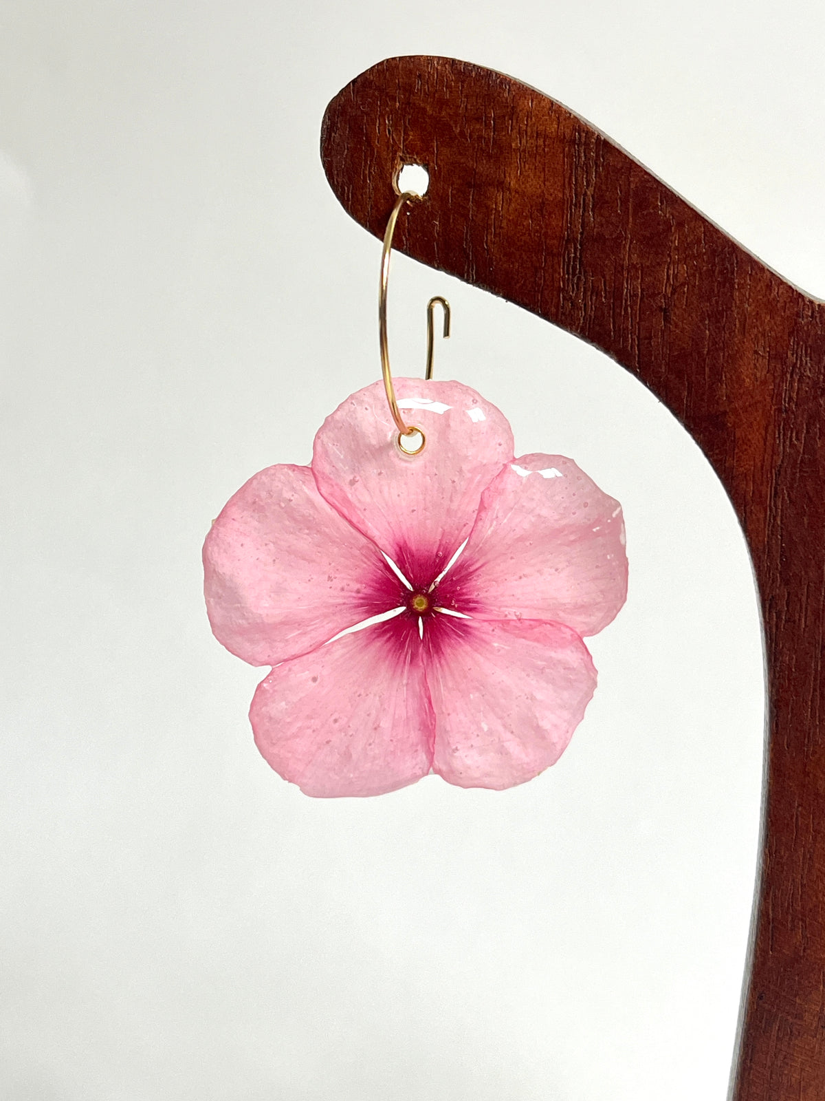Vinca rosa, pendientes