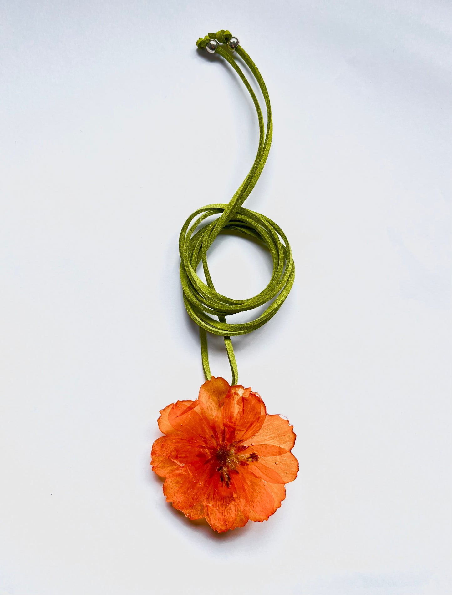 Cosmos naranja collar.