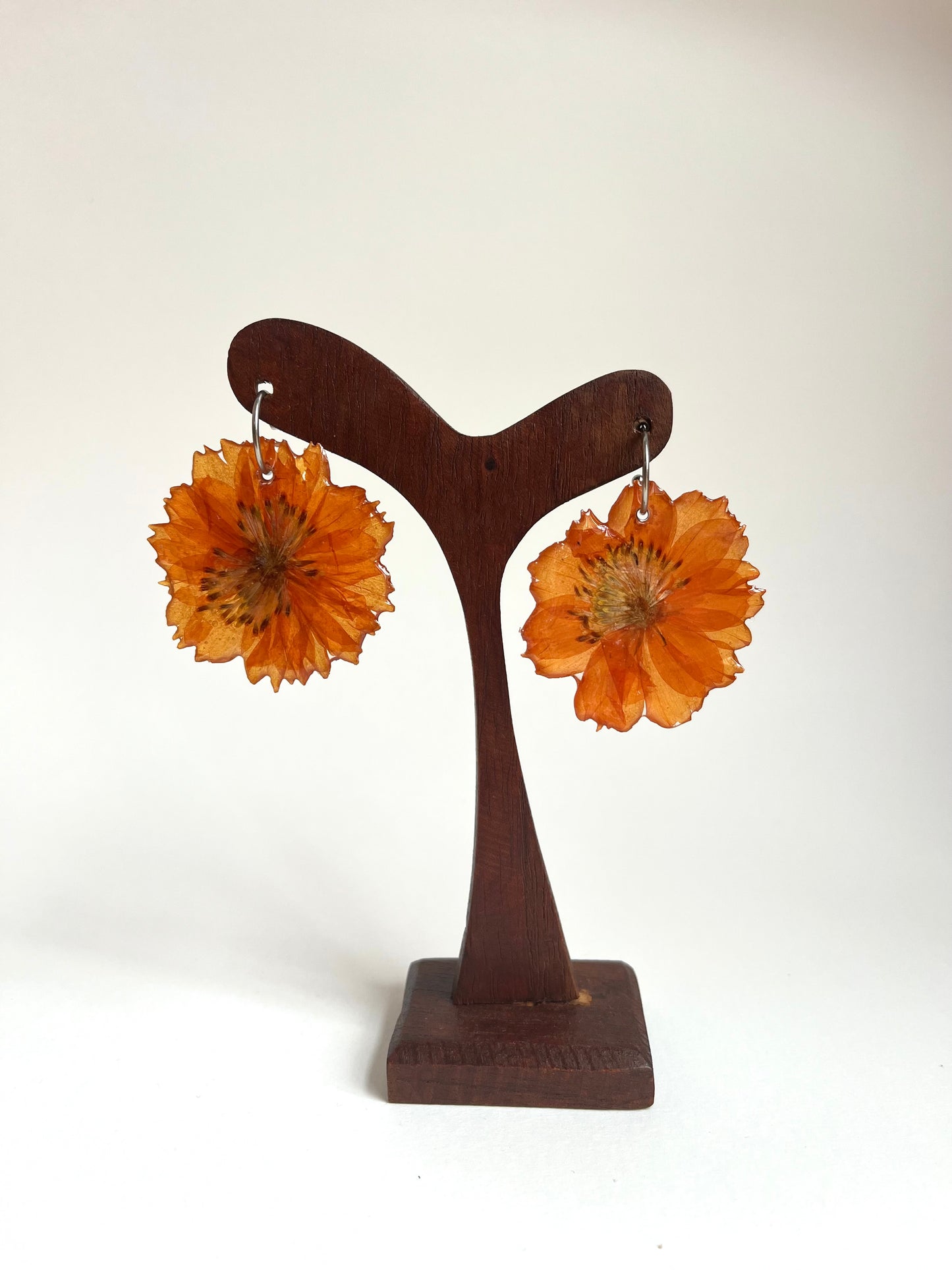Cosmos naranja, pendientes
