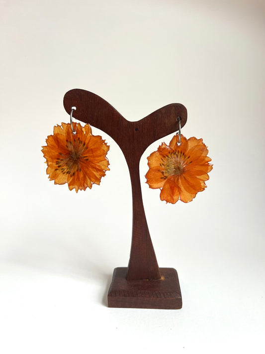 Cosmos naranja, pendientes
