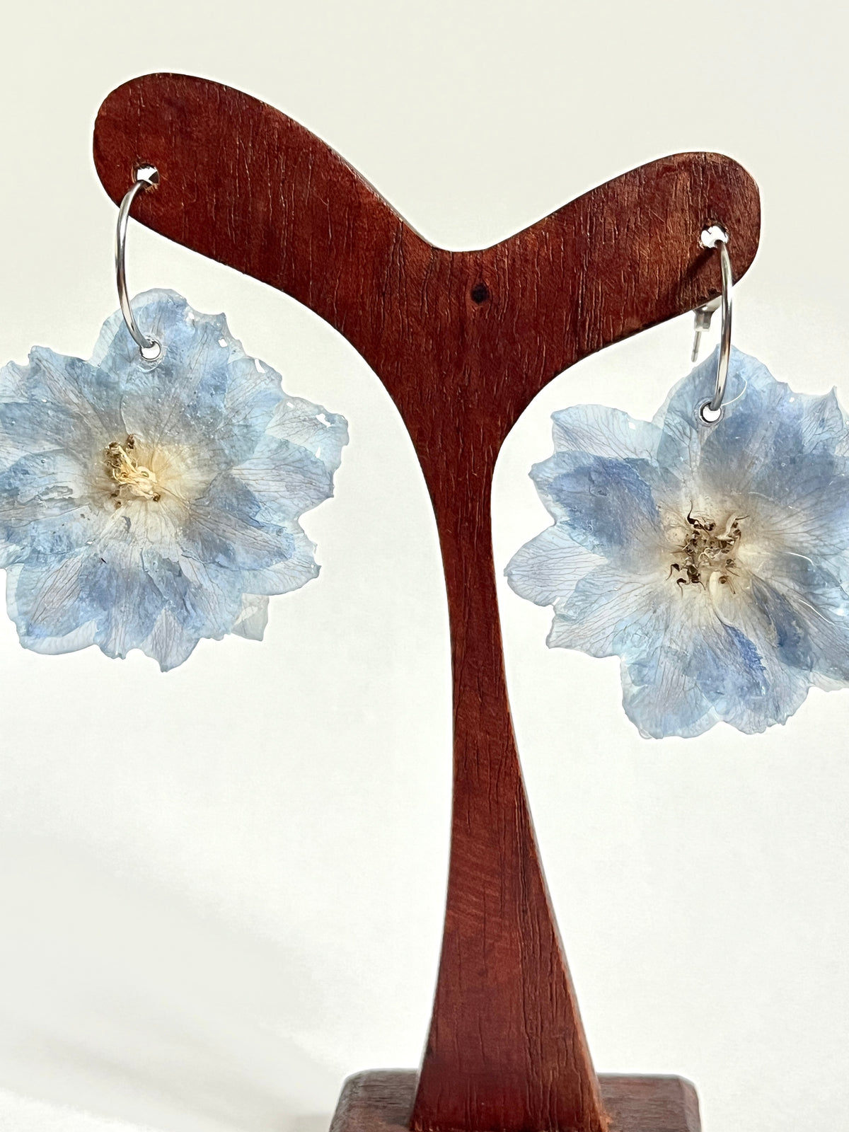 Delphinium azul, pendientes