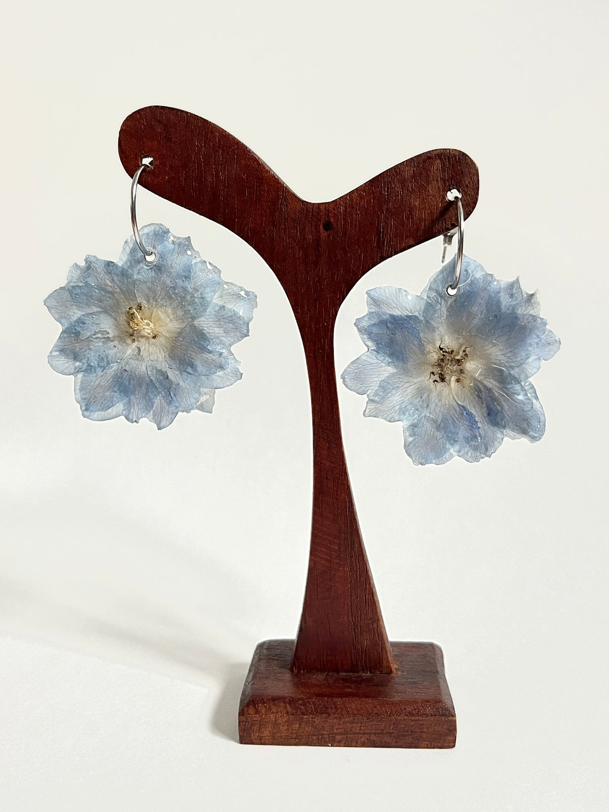 Delphinium azul, pendientes