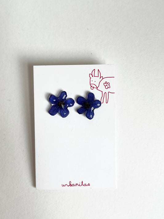 Silvestre, pendientes