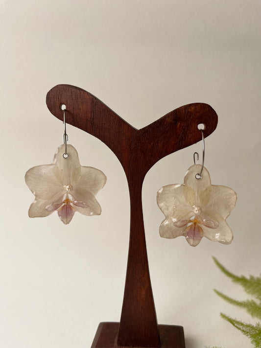 Orquídea, pendientes