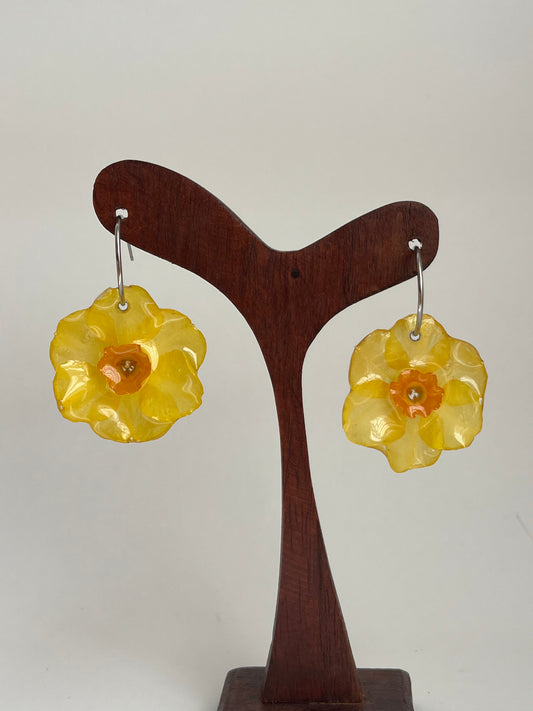 Narciso: pendientes