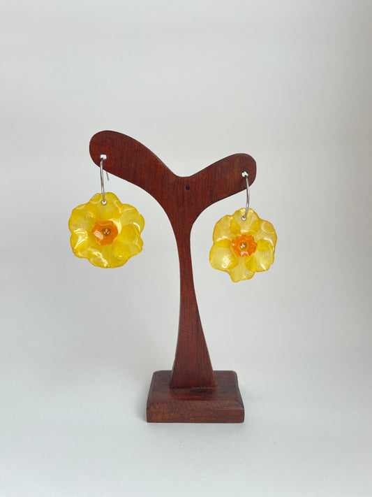 Narciso: pendientes