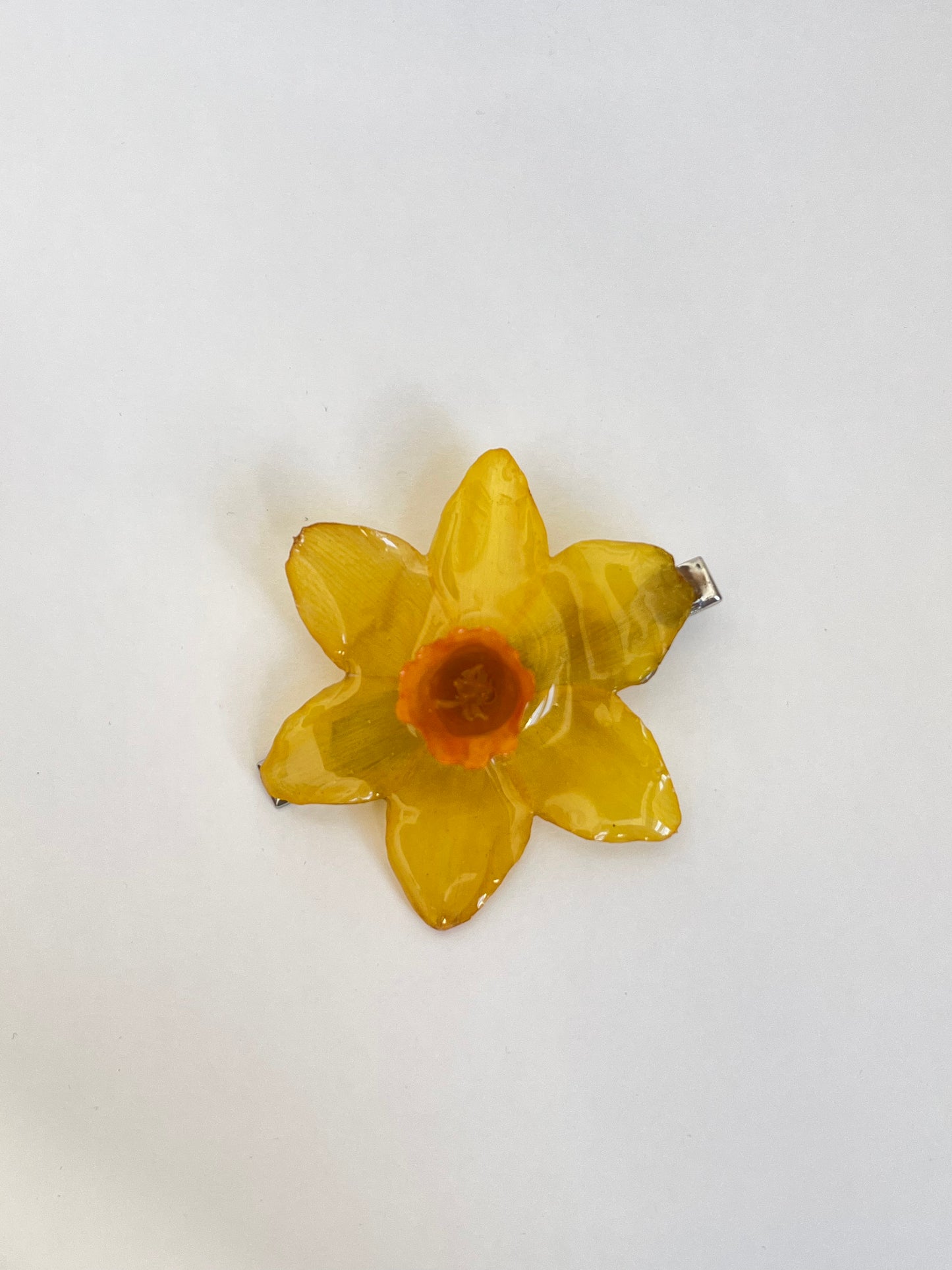 Narciso: pinza pelo
