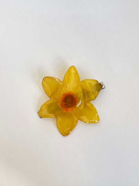 Narciso: pinza pelo
