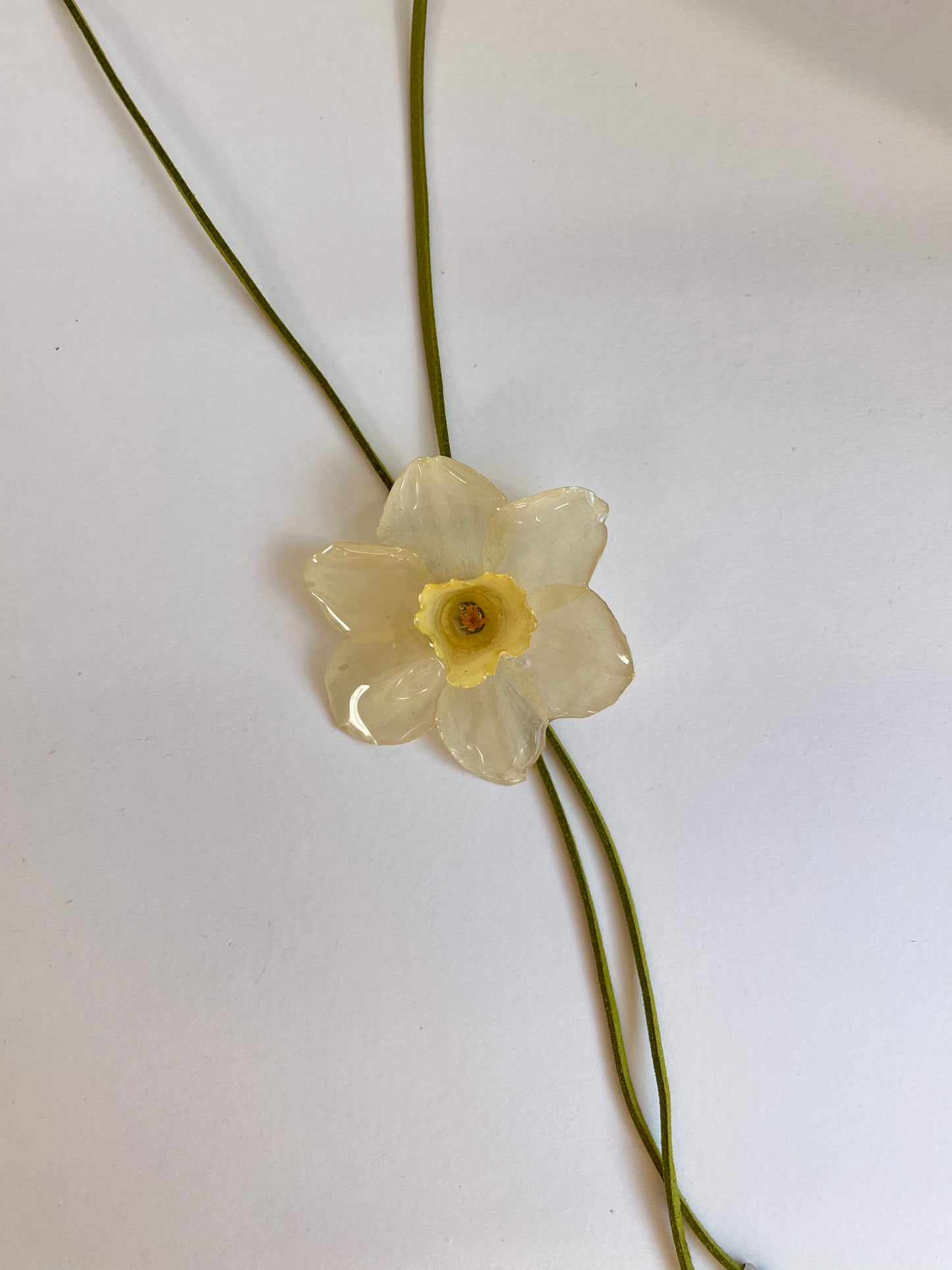 Narciso: Collar corbata