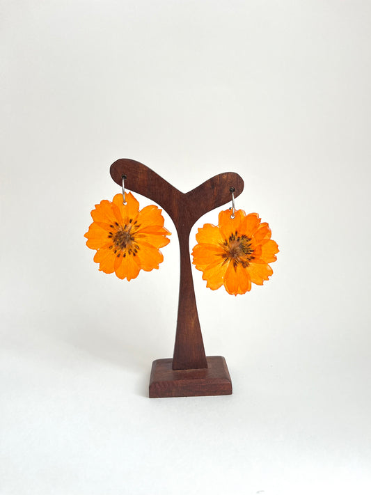 Cosmos naranja, pendientes